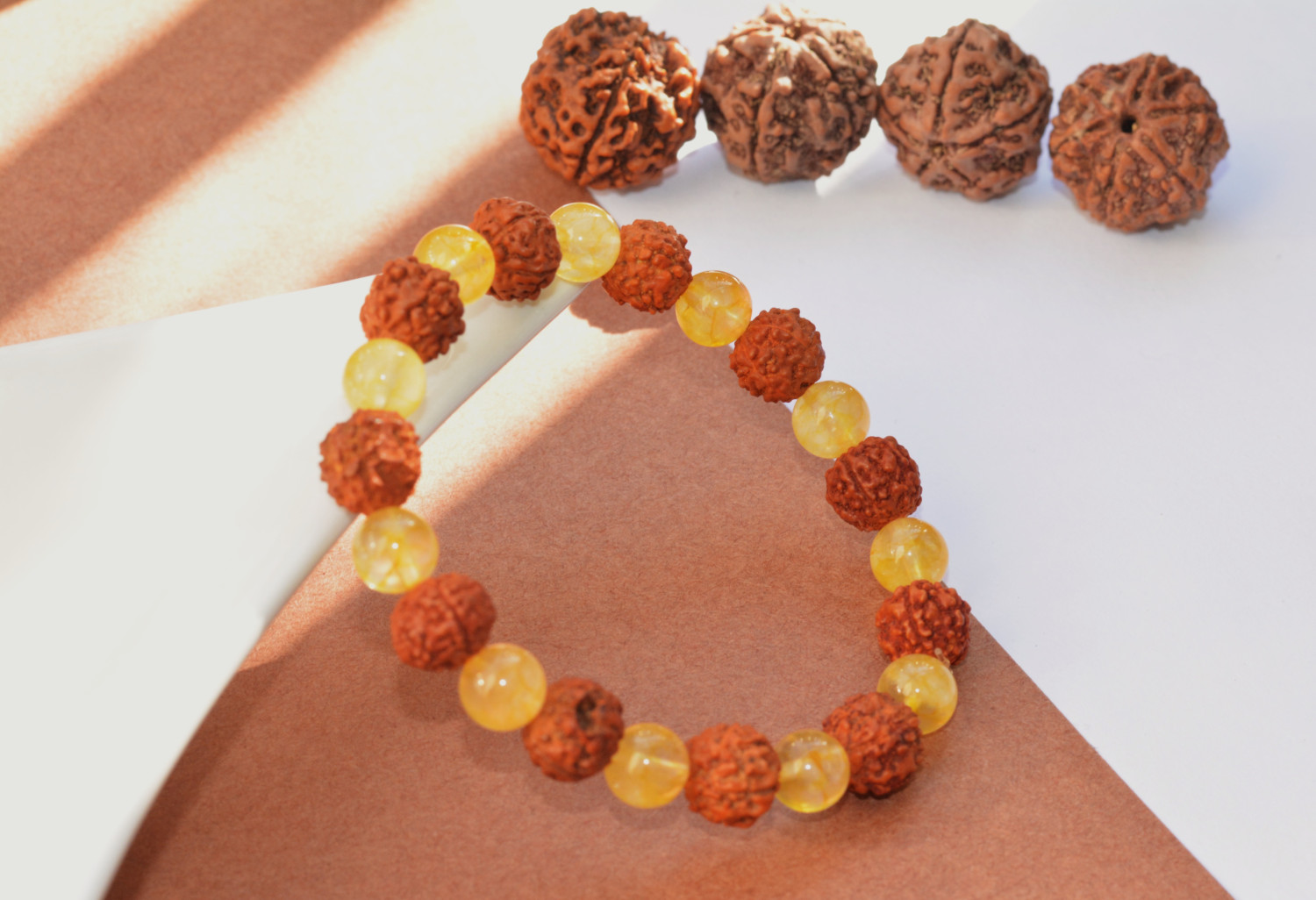 Rudraksha